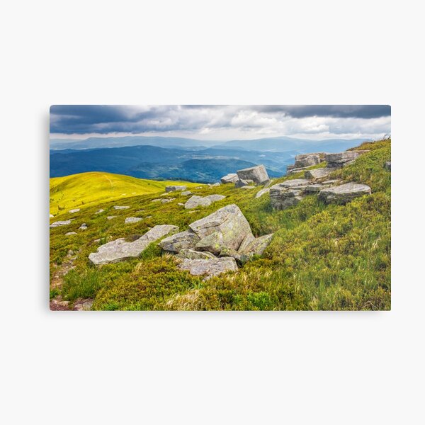 meadow with boulders in Carpathian mountains in summer Metal Print