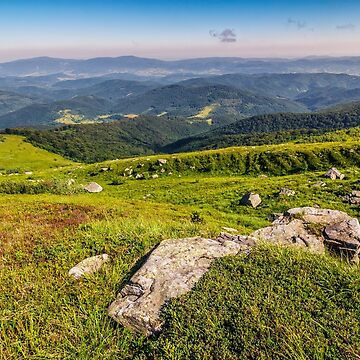 Artwork thumbnail, meadow with boulders in Carpathian mountains in summer by mike-pellinni