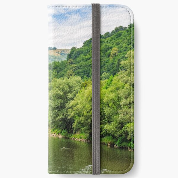River among the forest in picturesque Carpathian mountains in summer iPhone Wallet