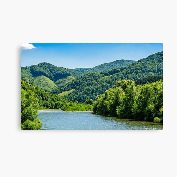 River among the forest in picturesque Carpathian mountains in summer Canvas Print