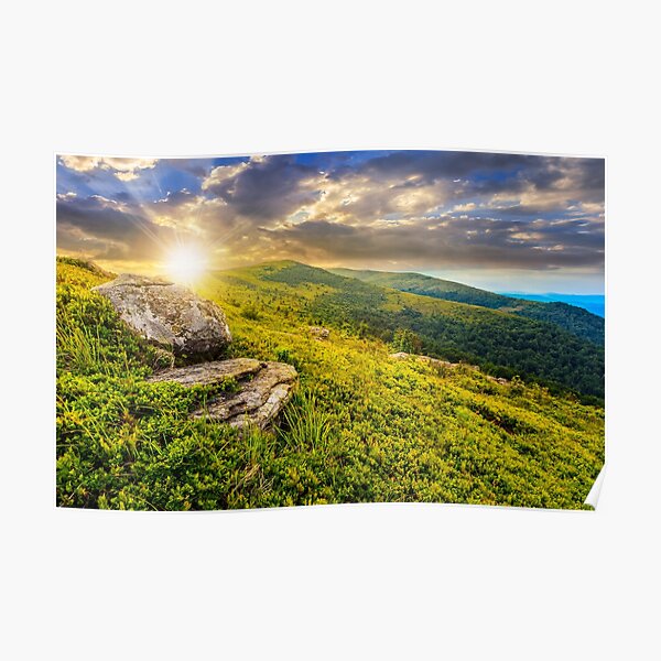 meadow with boulders in Carpathian mountains in summer Poster