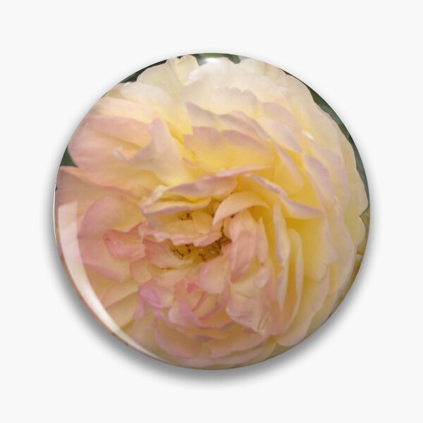 Item preview, Blush Rose designed and sold by OByD.