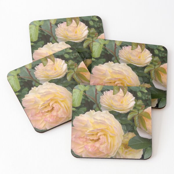 Item preview, Blush Rose designed and sold by OByD.