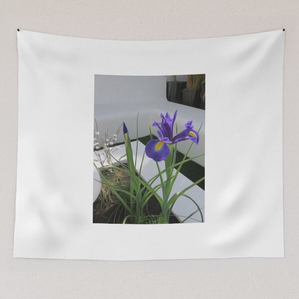 Item preview, Beautiful Iris designed and sold by BerylBez.