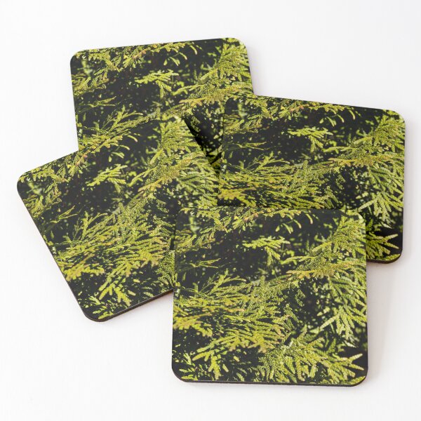 Item preview, Cypress designed and sold by viknitov.