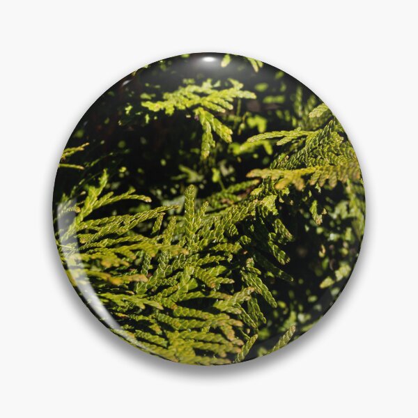 Item preview, Cypress designed and sold by viknitov.