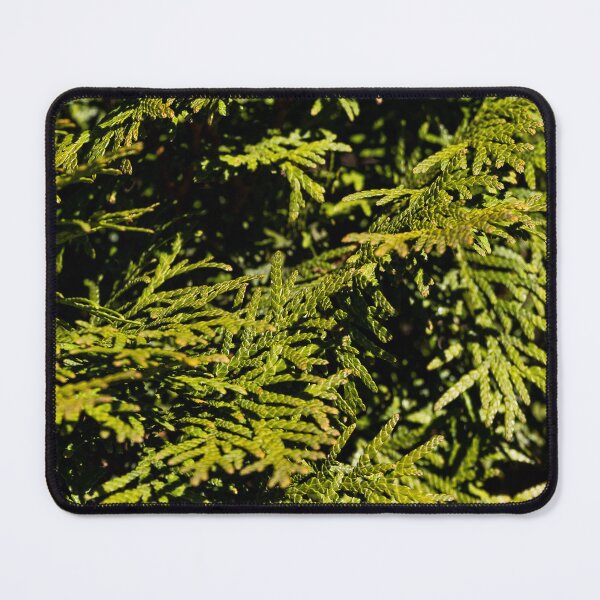 Item preview, Cypress designed and sold by viknitov.