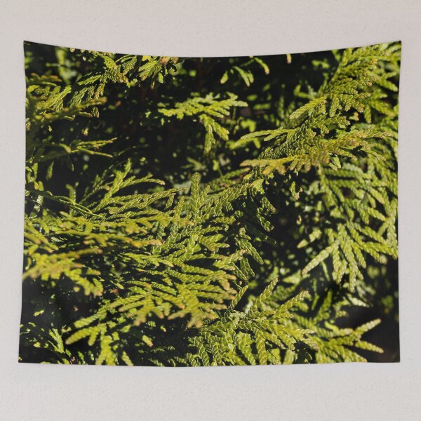 Item preview, Cypress designed and sold by viknitov.