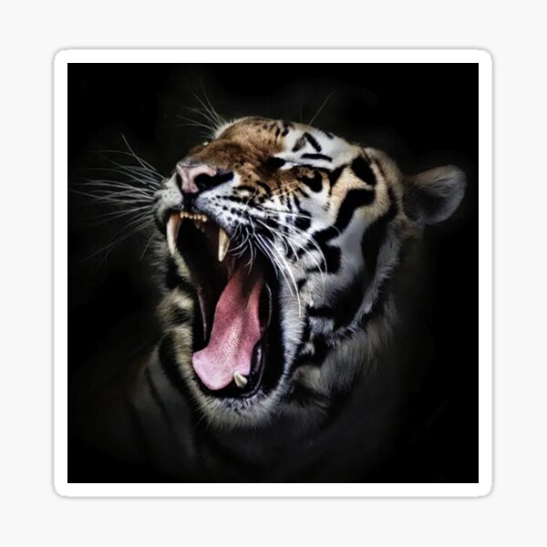 Tiger angry reaction expresion facial emoji vector. Jungle cat