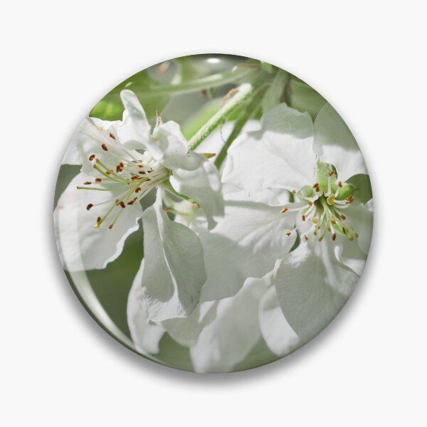 Item preview, Early summer flower show. Apple designed and sold by Jouko Lehto Photography.