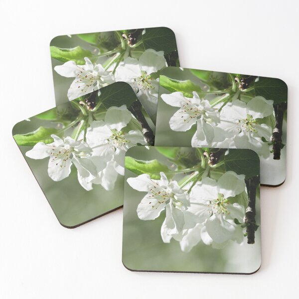Item preview, Early summer flower show. Apple designed and sold by Jouko Lehto Photography.