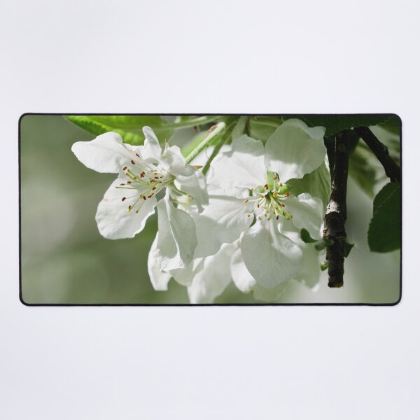 Item preview, Early summer flower show. Apple designed and sold by Jouko Lehto Photography.