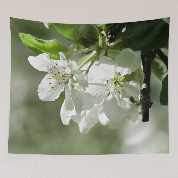 Item preview, Early summer flower show. Apple designed and sold by Jouko Lehto Photography.