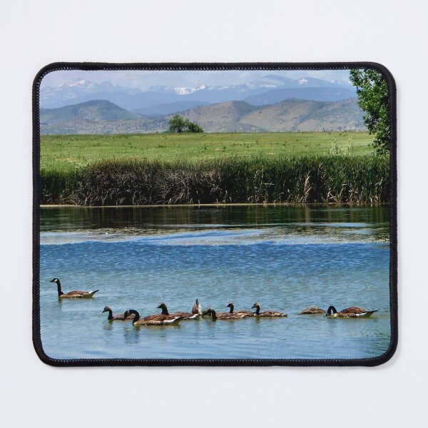 Item preview, Colorado Landscape with Geese on Water designed and sold by Carlo Varo.