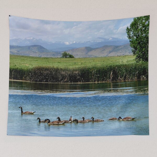 Item preview, Colorado Landscape with Geese on Water designed and sold by Carlo Varo.