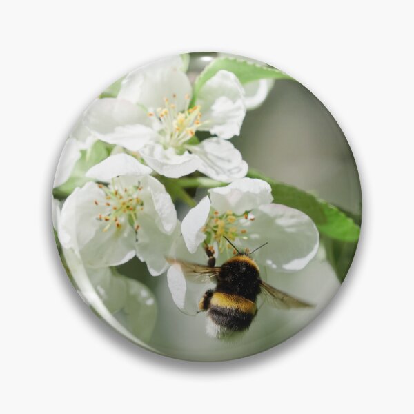 Item preview, Doing the job. Apple, bumblebee designed and sold by Jouko Lehto Photography.