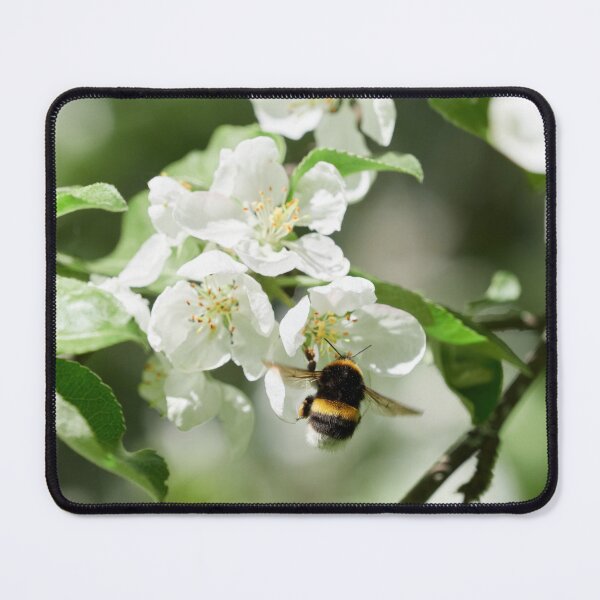 Item preview, Doing the job. Apple, bumblebee designed and sold by Jouko Lehto Photography.