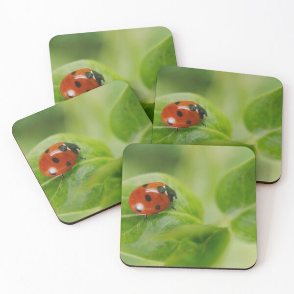 Item preview, Ladybird designed and sold by rawshutterbug.