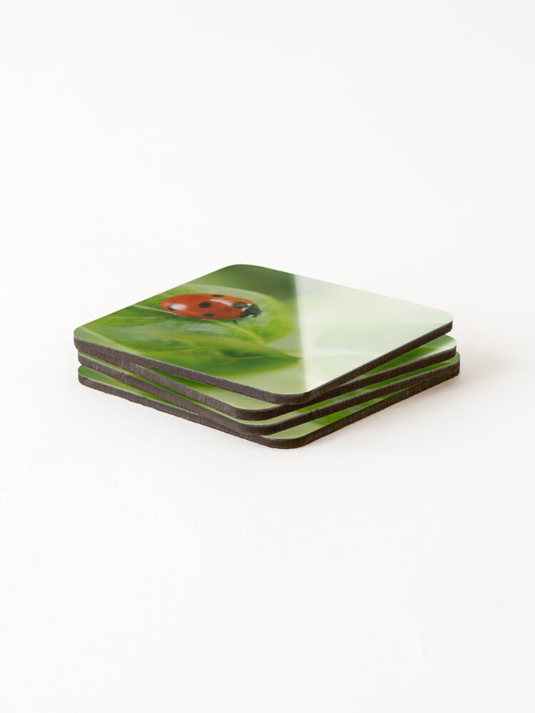 Thumbnail 4 of 5, Coasters (Set of 4), Ladybird designed and sold by rawshutterbug.