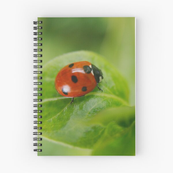 Item preview, Ladybird designed and sold by rawshutterbug.