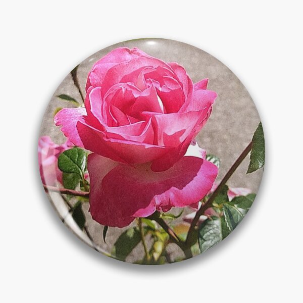 Aperçu de l'œuvre Rose rose créée et vendue par ColoryourDream.