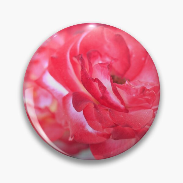 Item preview, Pink roses in summer garden designed and sold by olena2552.