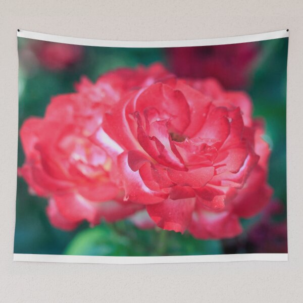 Item preview, Pink roses in summer garden designed and sold by olena2552.