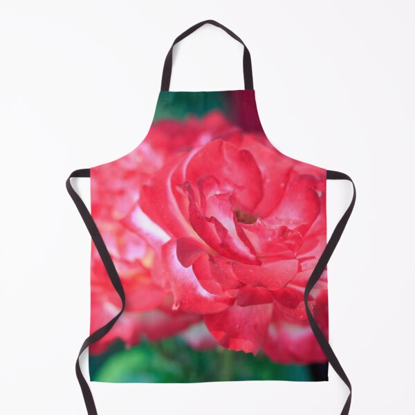 Item preview, Pink roses in summer garden designed and sold by olena2552.