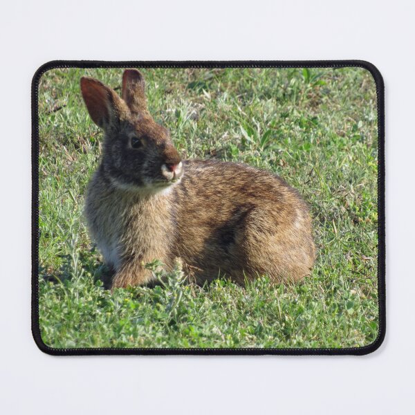 Item preview, A Mouthful designed and sold by bertsworks300.