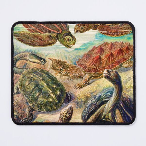 Item preview, Chelonia Turtles by Ernst Haeckel designed and sold by ChelleCreate.