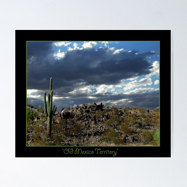 Item preview, Old Mexico Way designed and sold by StarshinePhoto.
