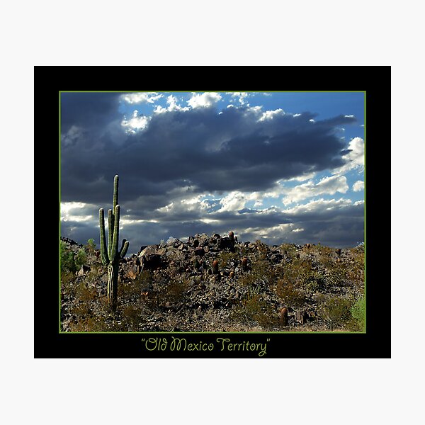 Item preview, Old Mexico Way designed and sold by StarshinePhoto.