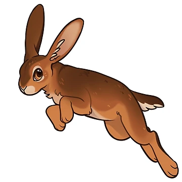 Artwork thumbnail, Bouncing Rabbit by deertush