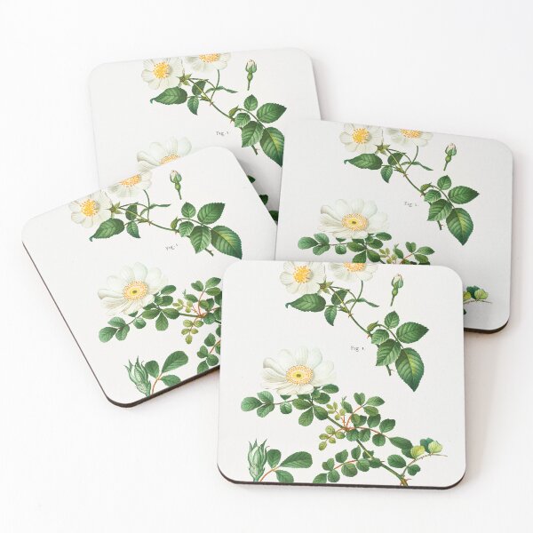 Item preview, vintage botanical print designed and sold by cottagecorococo.