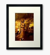 Formations at Tantanoola Framed Print