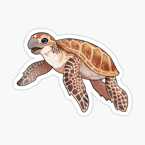 All Car Decals In Car Stickers & Decals - Foto 10