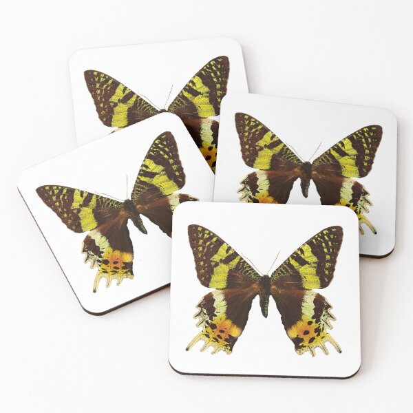 Item preview, Beautiful Madagascan sunset moth designed and sold by AnnaBBS.