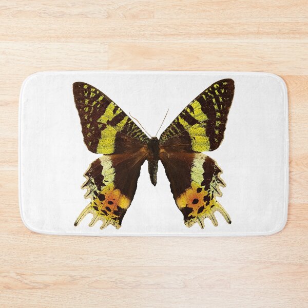 Item preview, Beautiful Madagascan sunset moth designed and sold by AnnaBBS.
