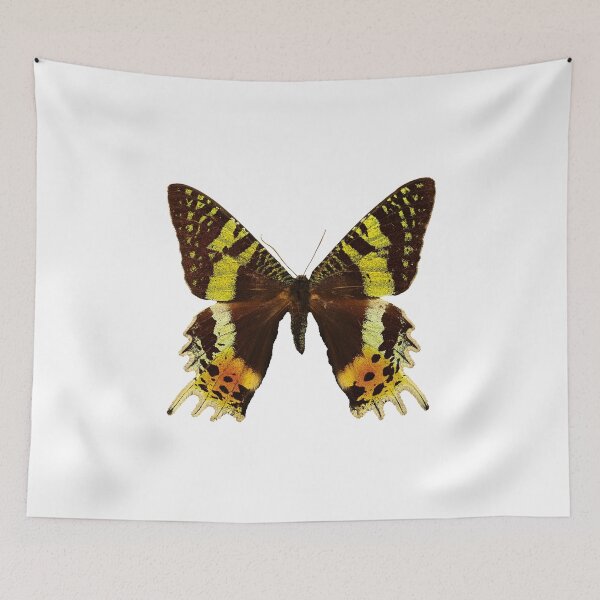 Item preview, Beautiful Madagascan sunset moth designed and sold by AnnaBBS.