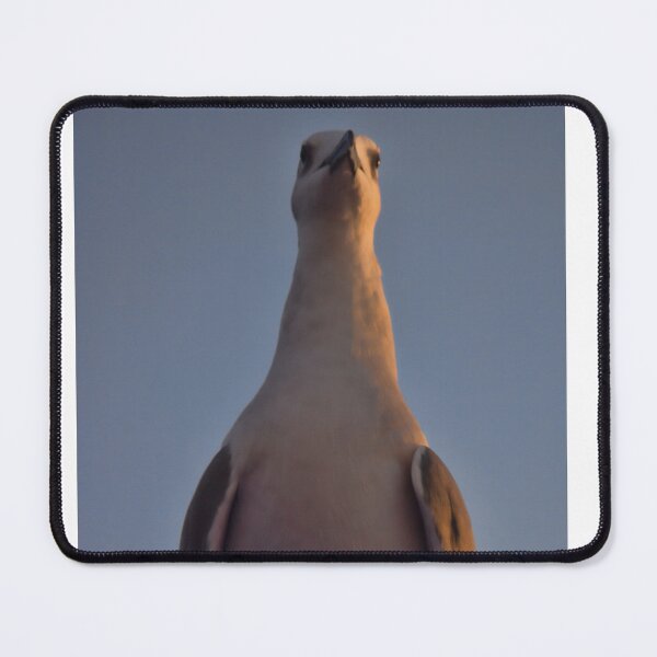 Item preview, Perched designed and sold by bertsworks300.