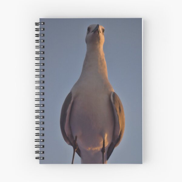 Item preview, Perched designed and sold by bertsworks300.