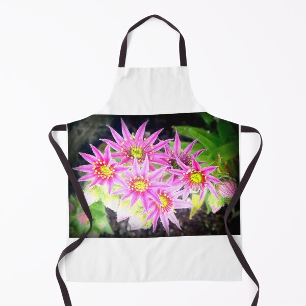 Item preview, Sempervivum designed and sold by angel1.