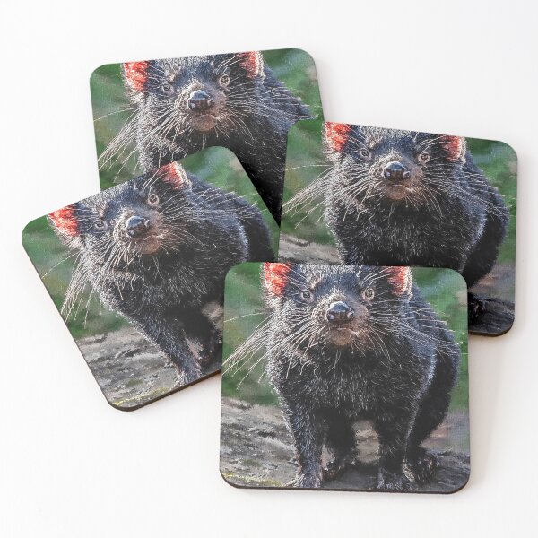 Item preview, Cute Tasmanian Devil oil paint, Adorable Australian Tasmanian Devil , Australian Animals Drawing, Tasmanian Devil Art designed and sold by Paintcorner.