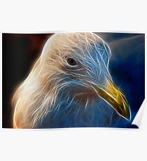 SeaGull Poster