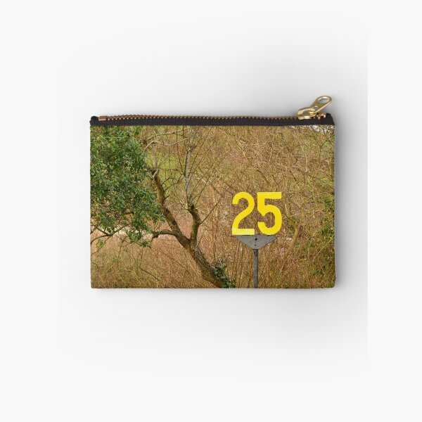Item preview, Twenty-Five designed and sold by Alexandra Lavizzari.
