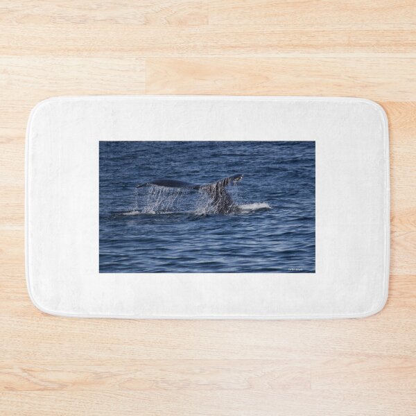 Item preview, A Boston View 110 designed and sold by bertsworks300.