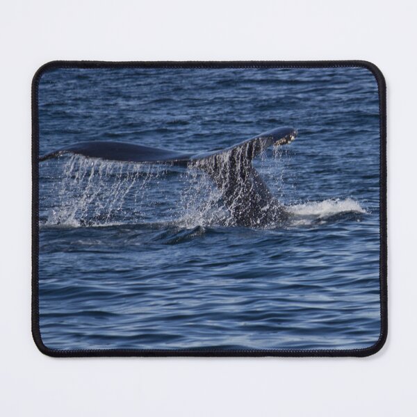 Item preview, A Boston View 110 designed and sold by bertsworks300.