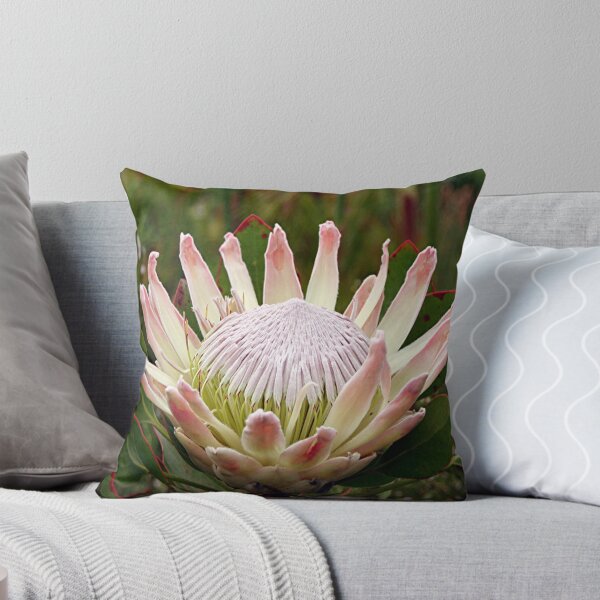 Item preview, South African King Protea flower designed and sold by FranWest.
