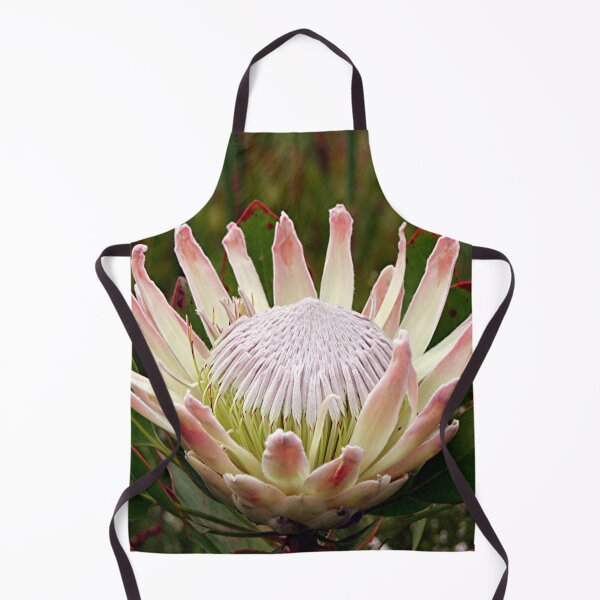 Item preview, South African King Protea flower designed and sold by FranWest.