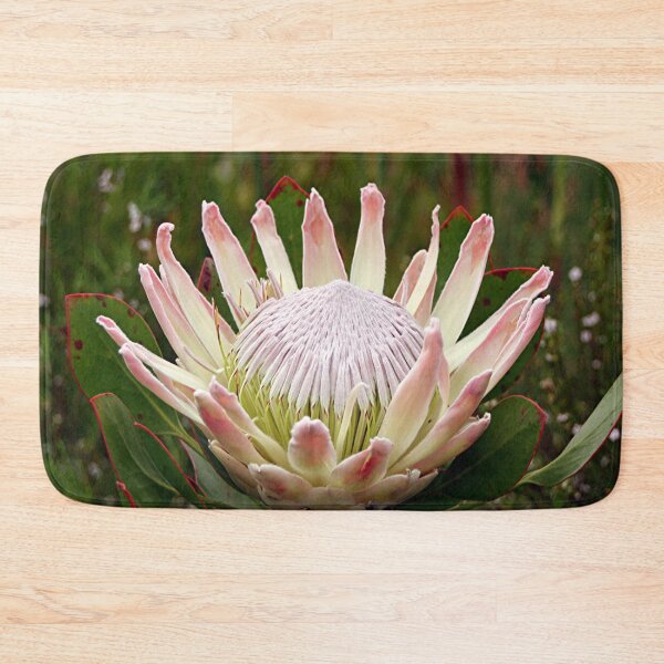 Item preview, South African King Protea flower designed and sold by FranWest.